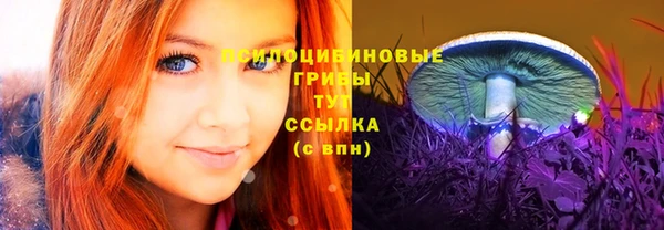 2c-b Козельск