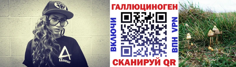Псилоцибиновые грибы GOLDEN TEACHER  Кораблино 