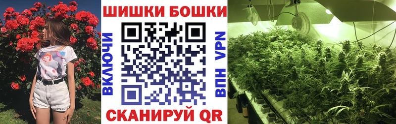 Шишки марихуана OG Kush Кораблино